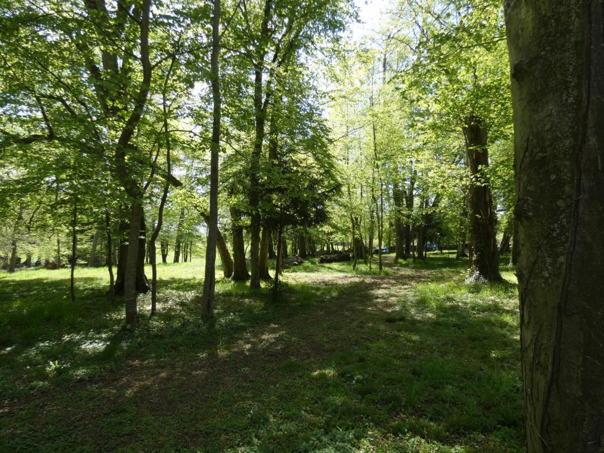 Domaine De Chatenay - Le Mans Saint-Saturnin  Kültér fotó