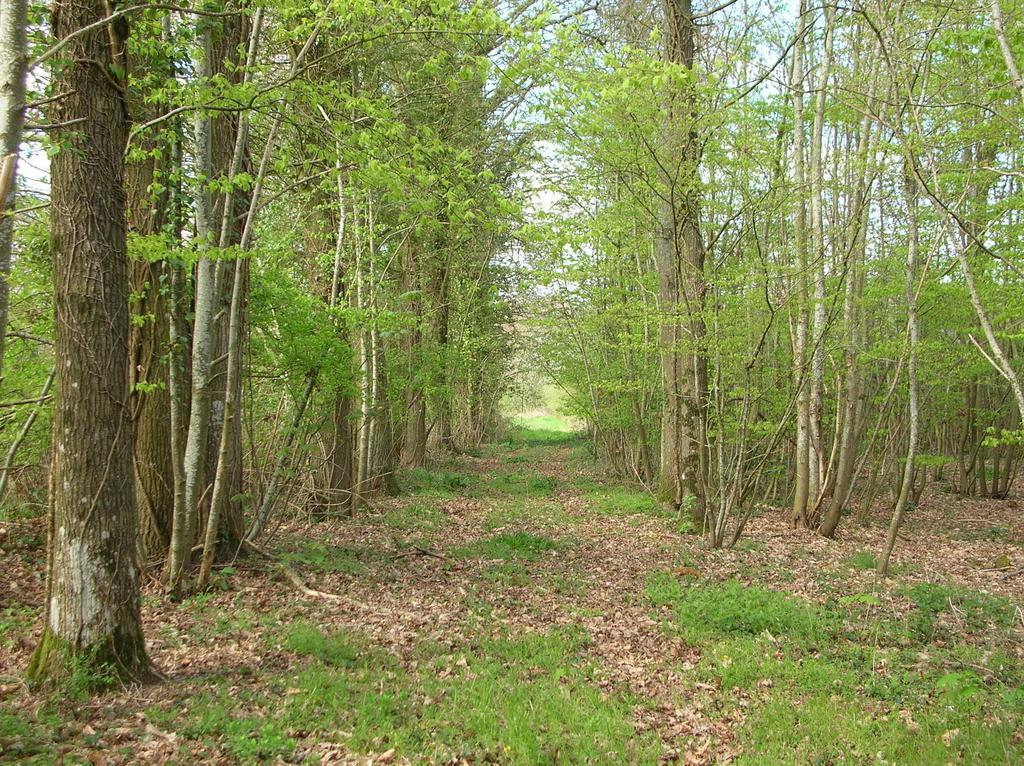 Domaine De Chatenay - Le Mans Saint-Saturnin  Kültér fotó