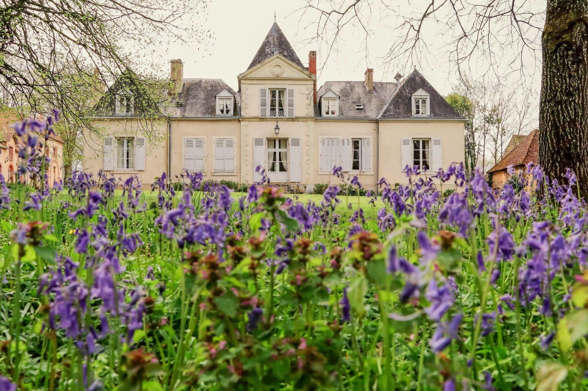Domaine De Chatenay - Le Mans Saint-Saturnin  Kültér fotó