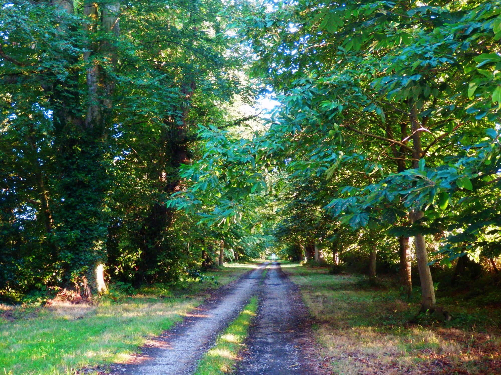 Domaine De Chatenay - Le Mans Saint-Saturnin  Kültér fotó